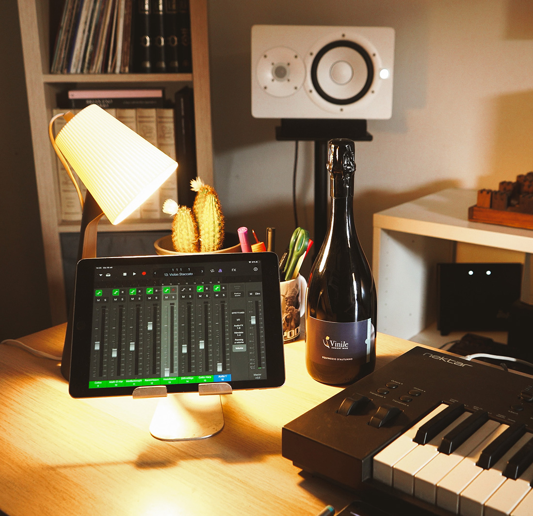 Vinile AMBIENT WINE - Quando il vino diventa musica